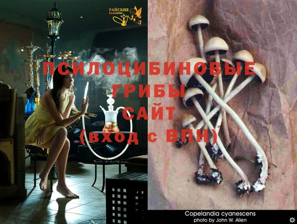 герыч Абдулино