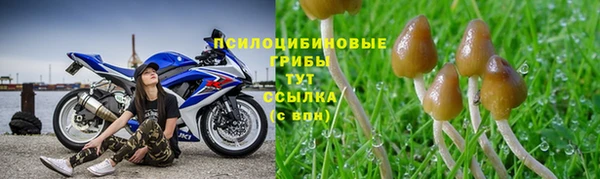 герыч Абдулино
