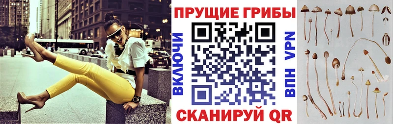 Псилоцибиновые грибы ЛСД дарнет шоп Ладушкин